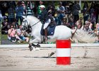 Pferd International 176
